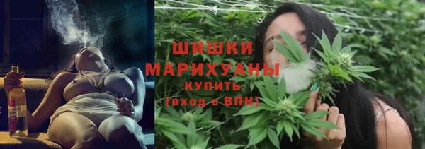 прущие крисы Арсеньев