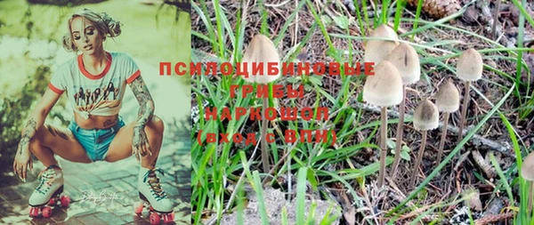 индика Армянск