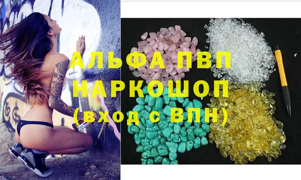 индика Армянск